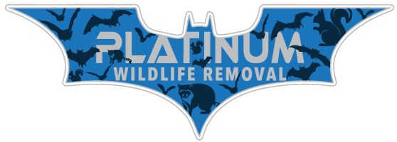 Wildlife Control Alpine